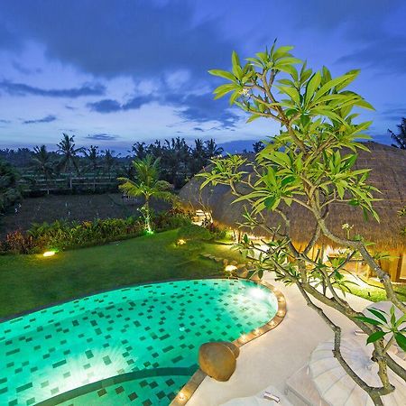 Villa Omah Padi อูบุด ภายนอก รูปภาพ